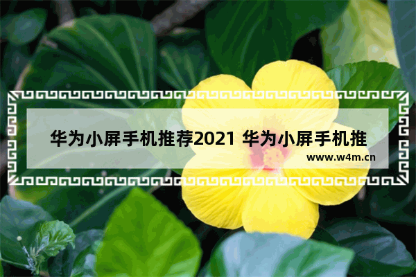 华为小屏手机推荐2021 华为小屏手机推荐最新款