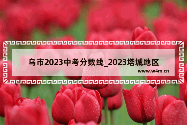 乌市2023中考分数线_2023塔城地区中考多少分可以上高中