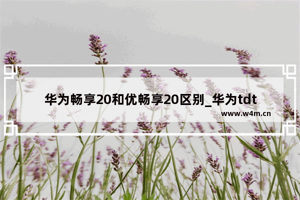 华为畅享20和优畅享20区别_华为tdtechm40手机怎么样