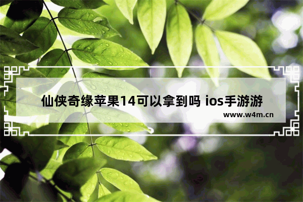 仙侠奇缘苹果14可以拿到吗 ios手游游戏推荐仙侠