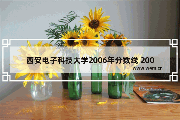 西安电子科技大学2006年分数线 2006高考分数线陕西省