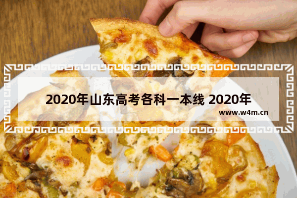 2020年山东高考各科一本线 2020年高考分数线山东