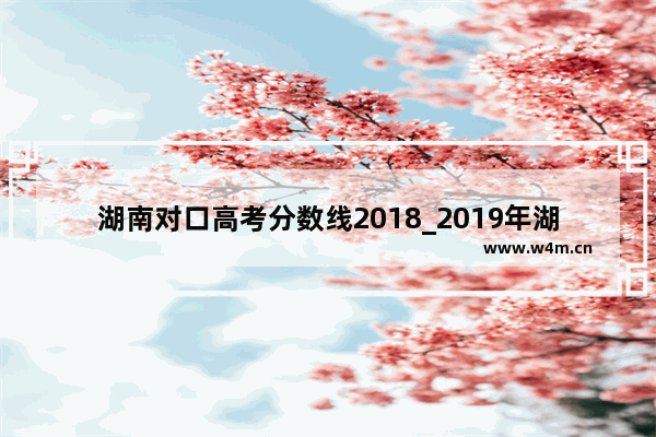 湖南对口高考分数线2018_2019年湖南省高考分数线