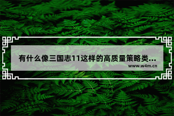 有什么像三国志11这样的高质量策略类单机游戏吗_电脑上有哪些好玩的枪战游戏