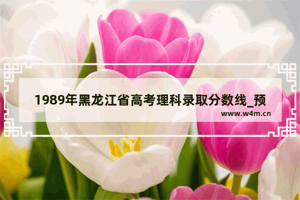 1989年黑龙江省高考理科录取分数线_预测2023二本分数线黑龙江