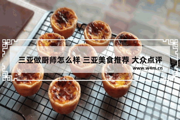 三亚做厨师怎么样 三亚美食推荐 大众点评评语