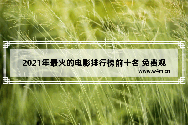 2021年最火的电影排行榜前十名 免费观看 优酷最新电影排行前十名有哪些