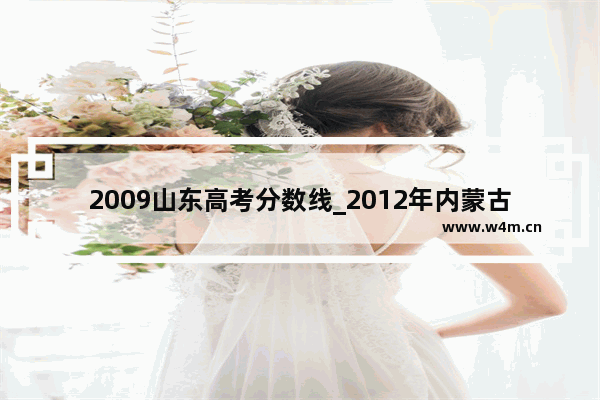 2009山东高考分数线_2012年内蒙古大学录取分数线