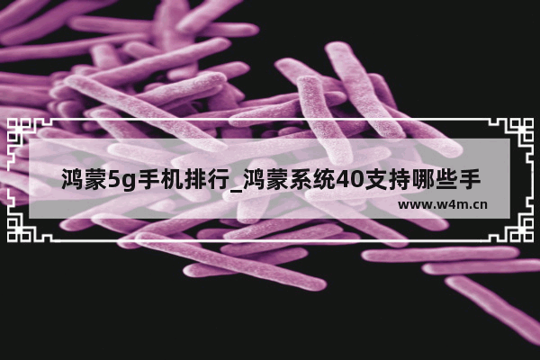 鸿蒙5g手机排行_鸿蒙系统40支持哪些手机