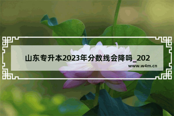 山东专升本2023年分数线会降吗_2021年山东高考滑档能有多少