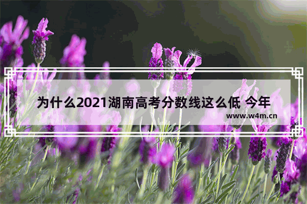 为什么2021湖南高考分数线这么低 今年高考分数线较低好吗