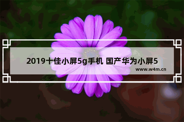 2019十佳小屏5g手机 国产华为小屏5g手机推荐一下多少钱