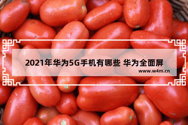 2021年华为5G手机有哪些 华为全面屏5g手机推荐新机