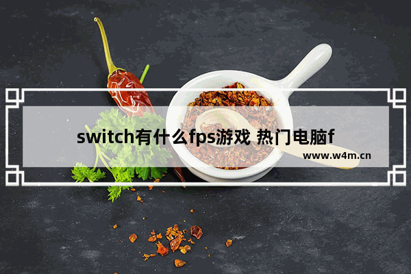 switch有什么fps游戏 热门电脑fps游戏推荐