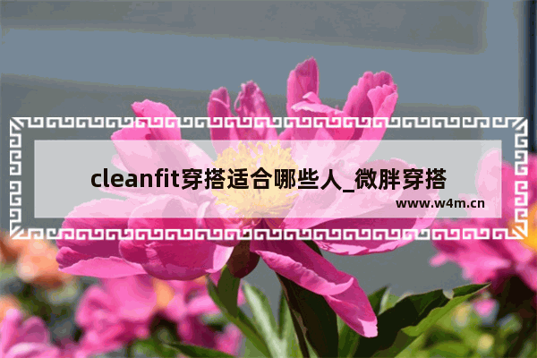 cleanfit穿搭适合哪些人_微胖穿搭夏季女生中性