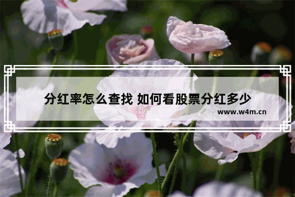 分红率怎么查找 如何看股票分红多少