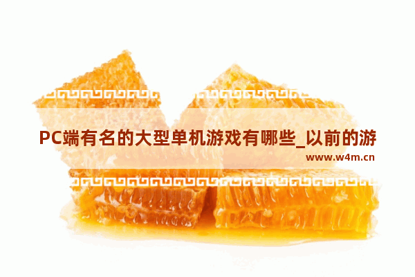 PC端有名的大型单机游戏有哪些_以前的游戏厅的经典游戏 你们还知道多少