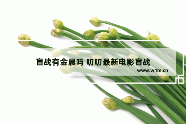 盲战有金晨吗 叨叨最新电影盲战