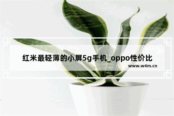 红米最轻薄的小屏5g手机_oppo性价比高的小屏5g手机