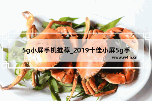 5g小屏手机推荐_2019十佳小屏5g手机