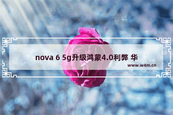 nova 6 5g升级鸿蒙4.0利弊 华为鸿蒙系统5g手机推荐哪款