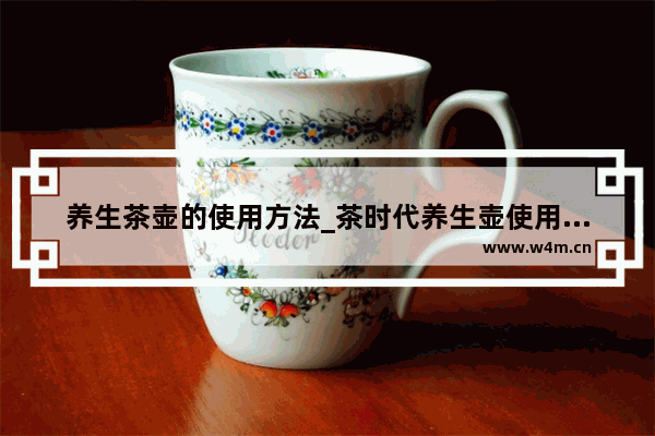 养生茶壶的使用方法_茶时代养生壶使用说明