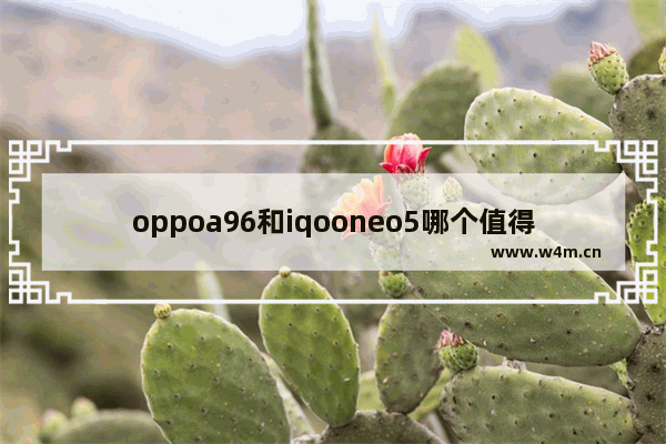 oppoa96和iqooneo5哪个值得入手_小屏幕5寸以下手机推荐