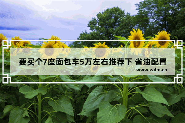 要买个7座面包车5万左右推荐下 省油配置高 5万左右手动省油新车推荐哪款车型