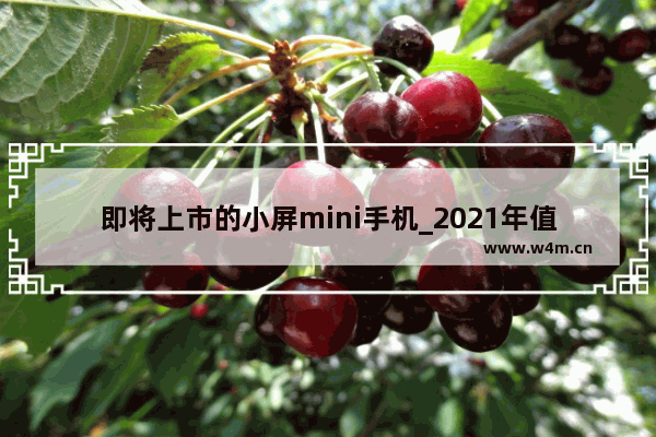 即将上市的小屏mini手机_2021年值得推荐的小屏手机