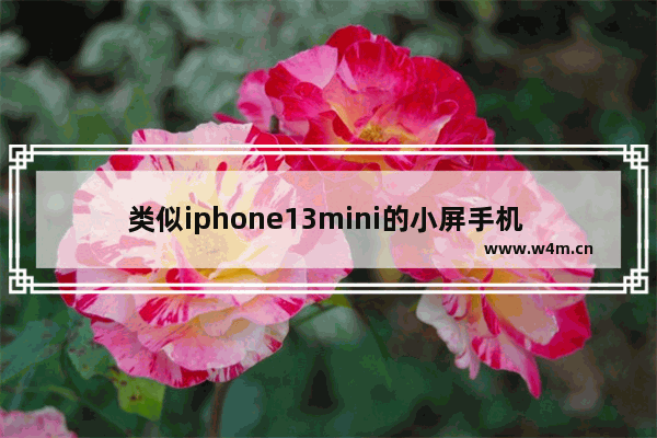 类似iphone13mini的小屏手机 全球小屏迷你手机推荐