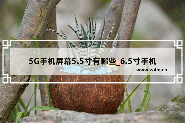 5G手机屏幕5.5寸有哪些_6.5寸手机有多大？求告知