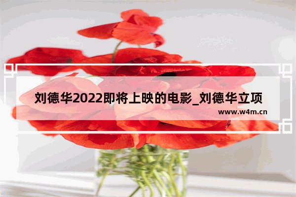 刘德华2022即将上映的电影_刘德华立项即将开拍新电影