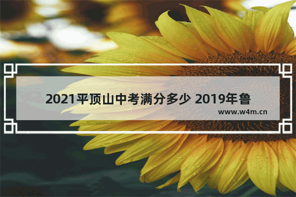 2021平顶山中考满分多少 2019年鲁山高考分数线