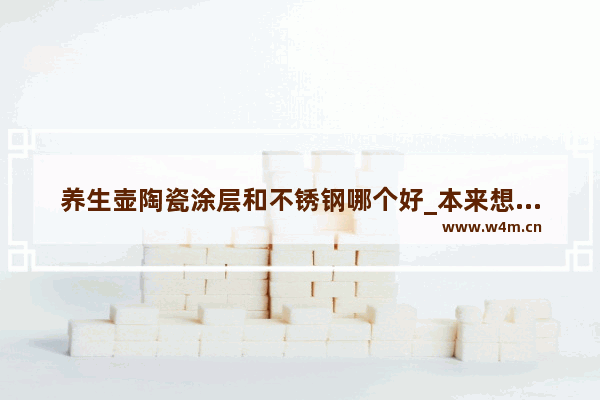 养生壶陶瓷涂层和不锈钢哪个好_本来想买一个养生壶玻璃怕炸 不锈钢烧水壶可以煮茶叶和花茶吗