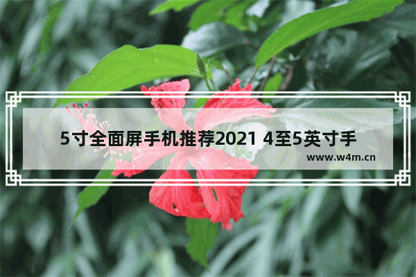 5寸全面屏手机推荐2021 4至5英寸手机推荐哪款