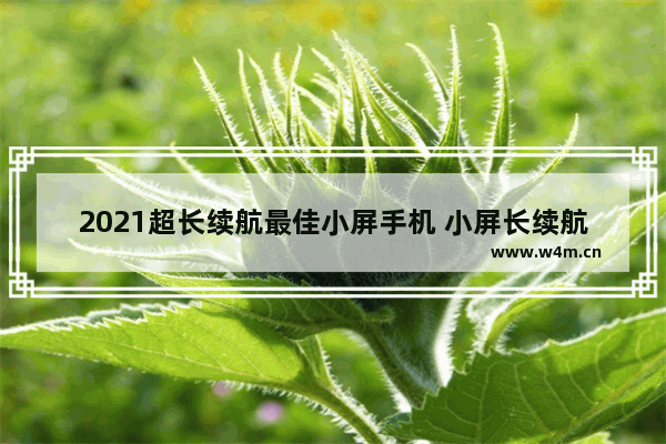 2021超长续航最佳小屏手机 小屏长续航手机推荐