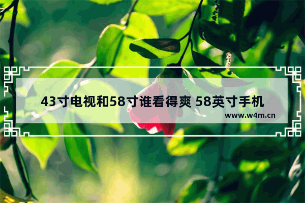 43寸电视和58寸谁看得爽 58英寸手机推荐