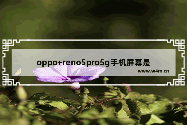 oppo+reno5pro5g手机屏幕是三星的吗？怎么选_iqoo5Pro屏幕曲率多少