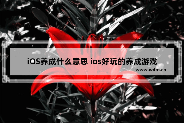 iOS养成什么意思 ios好玩的养成游戏推荐