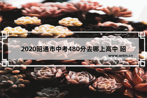 2020昭通市中考480分去哪上高中 昭通2020年高考分数线