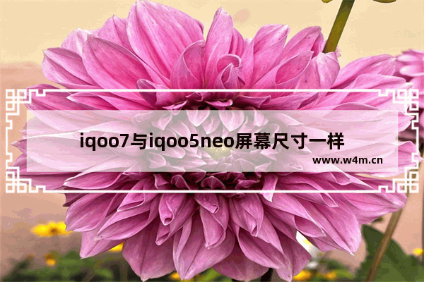 iqoo7与iqoo5neo屏幕尺寸一样吗 5寸屏旗舰手机推荐