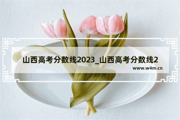 山西高考分数线2023_山西高考分数线2023一分一段表