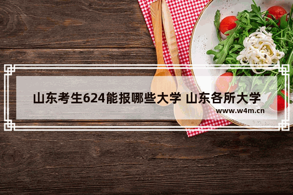 山东考生624能报哪些大学 山东各所大学高考分数线