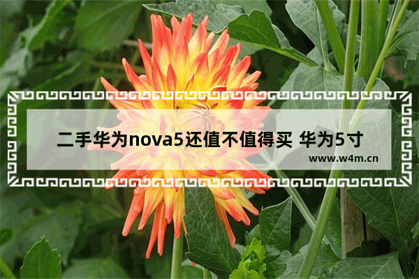 二手华为nova5还值不值得买 华为5寸小屏手机推荐哪款好