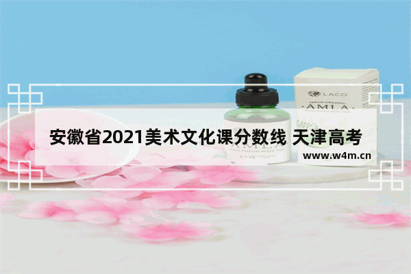 安徽省2021美术文化课分数线 天津高考分数线公布艺术