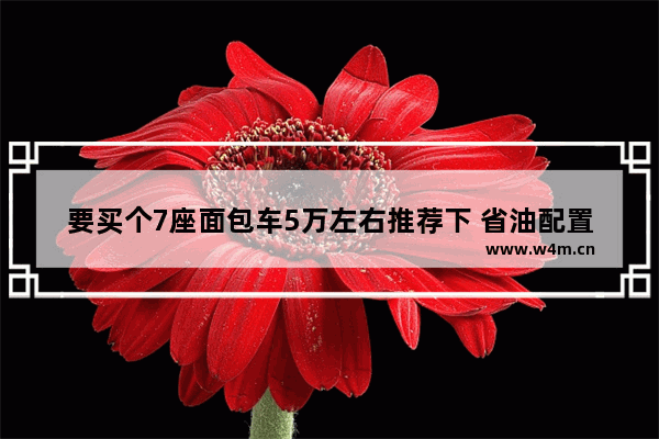 要买个7座面包车5万左右推荐下 省油配置高_全款5万左右新车推荐哪款车最好开省油