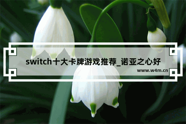 switch十大卡牌游戏推荐_诺亚之心好玩吗