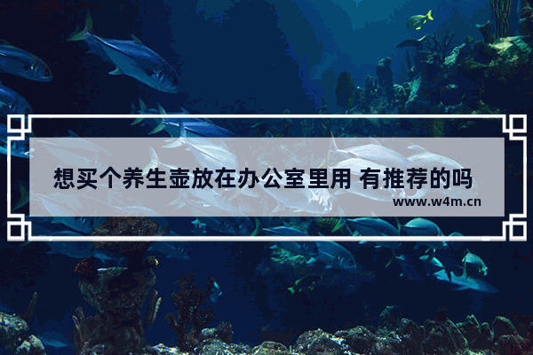 想买个养生壶放在办公室里用 有推荐的吗 养生壶办公室迷你