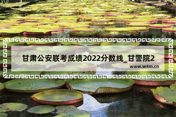 甘肃公安联考成绩2022分数线_甘警院2021录取公安专业多少分