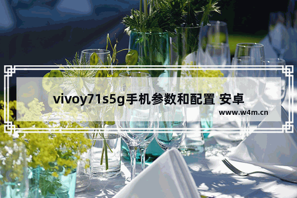 vivoy71s5g手机参数和配置 安卓小屏幕5g手机推荐哪款